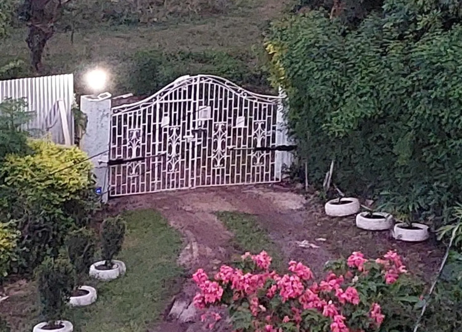 Alex'S Place - Tim Pappies Port Antonio 0*,  Jamaica