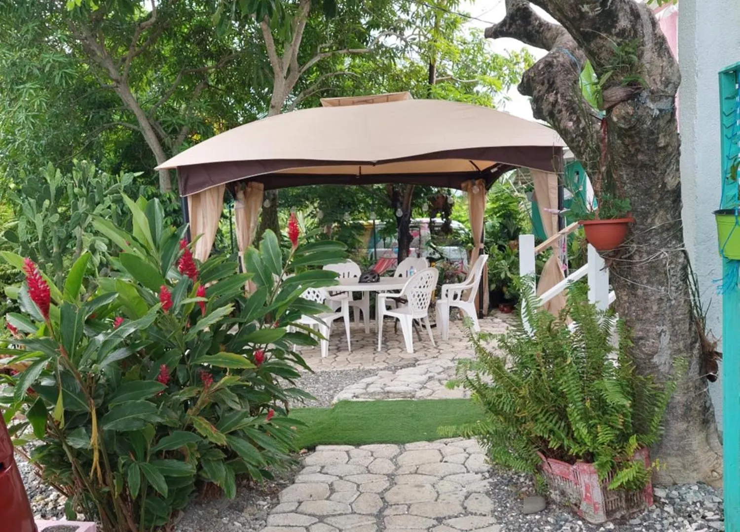 Apartment Alex'S Place - Tim Pappies Port Antonio