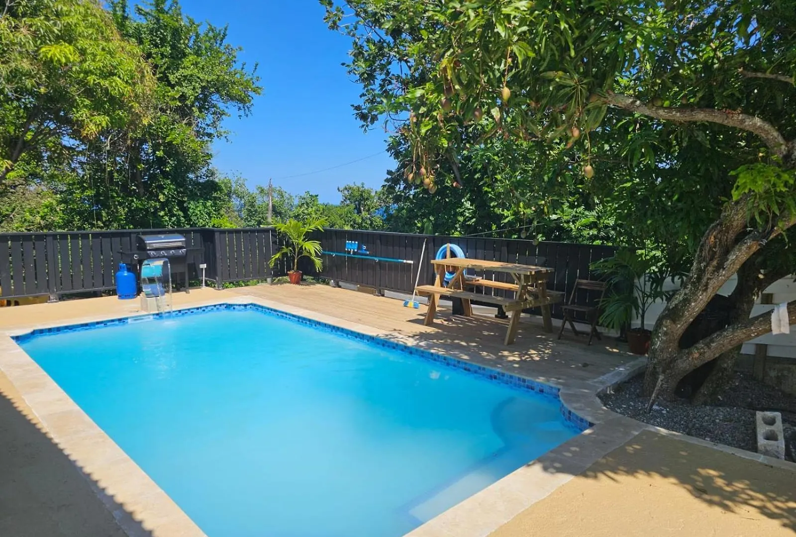 Alex'S Place - Tim Pappies Port Antonio Jamaica